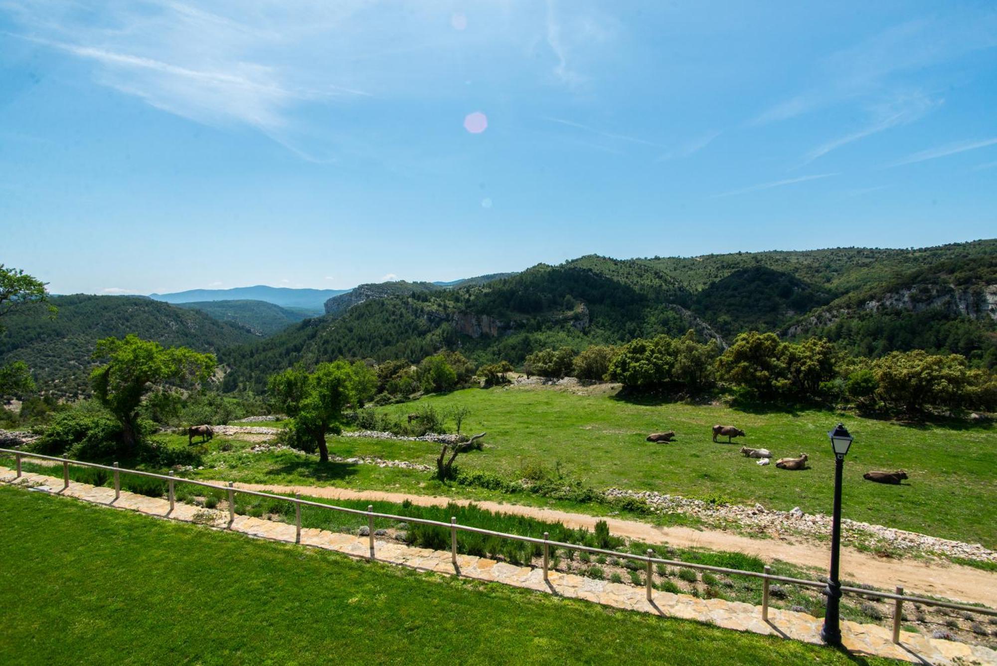 Font D'En Torres Solo Adultos Guest House Морела Екстериор снимка
